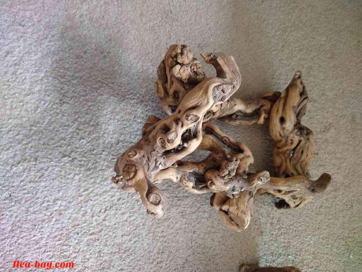 five pieces of reptile wood - Livermore, California - FleaMarketBay
