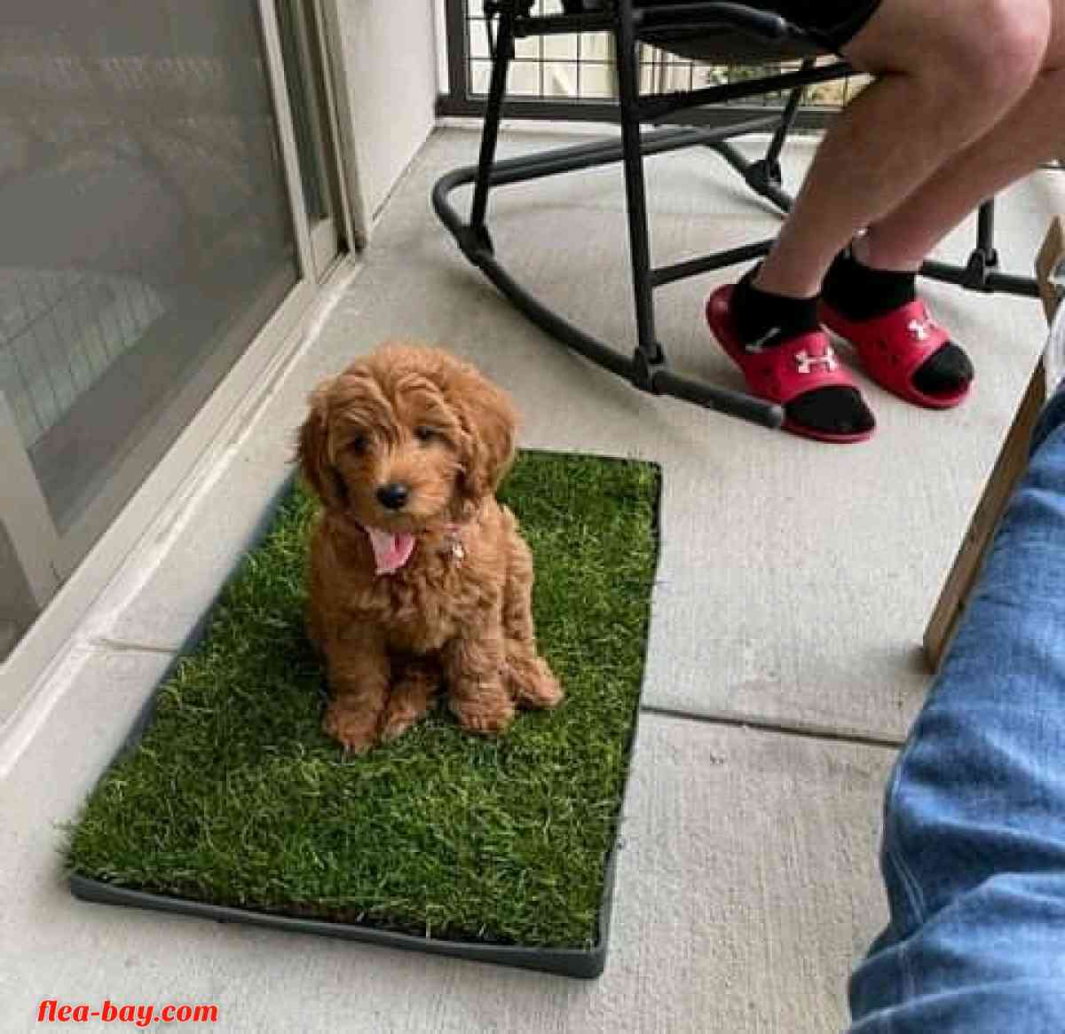 looking for serious buyer - Yoder, Wyoming - FleaMarketBay