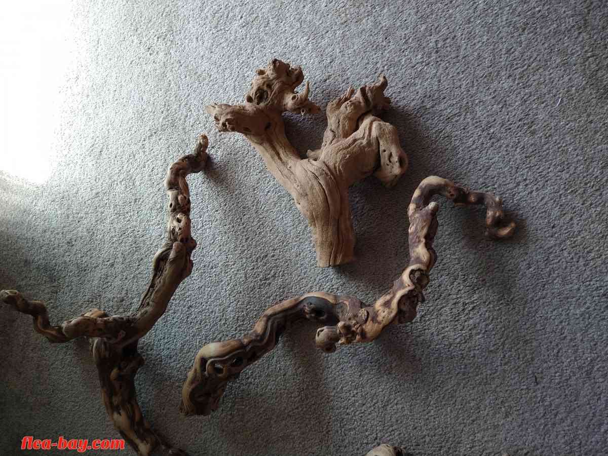 five pieces of reptile wood - Livermore, California - FleaMarketBay