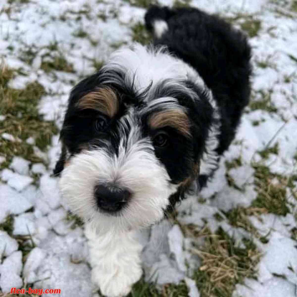 looking for serious buyer - Yoder, Wyoming - FleaMarketBay