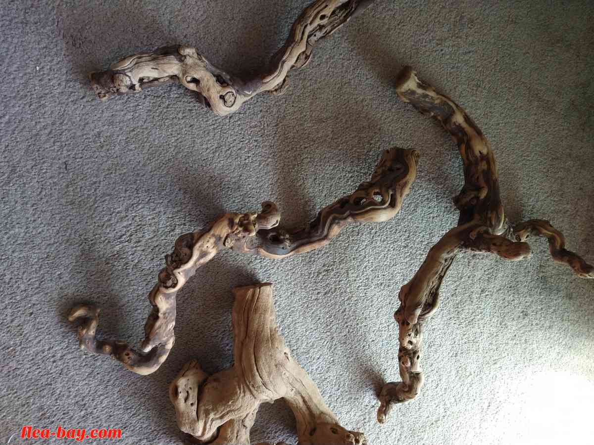 five pieces of reptile wood - Livermore, California - FleaMarketBay