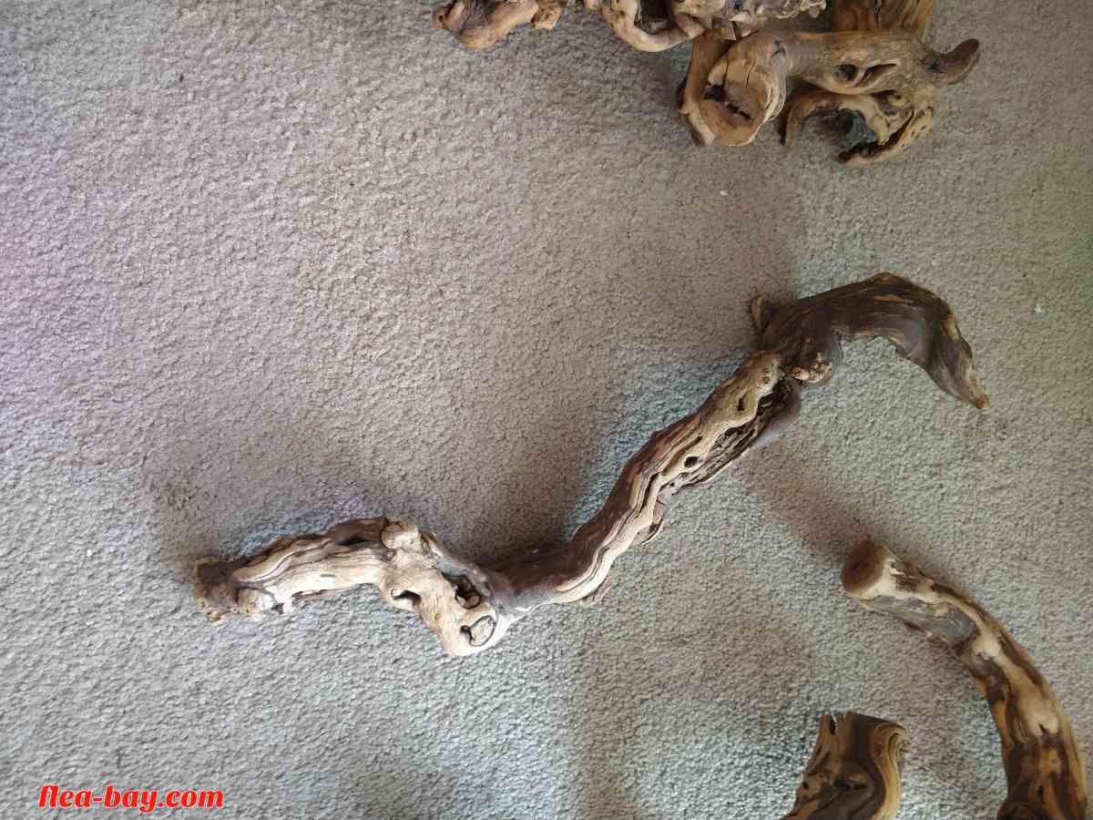 five pieces of reptile wood - Livermore, California - FleaMarketBay