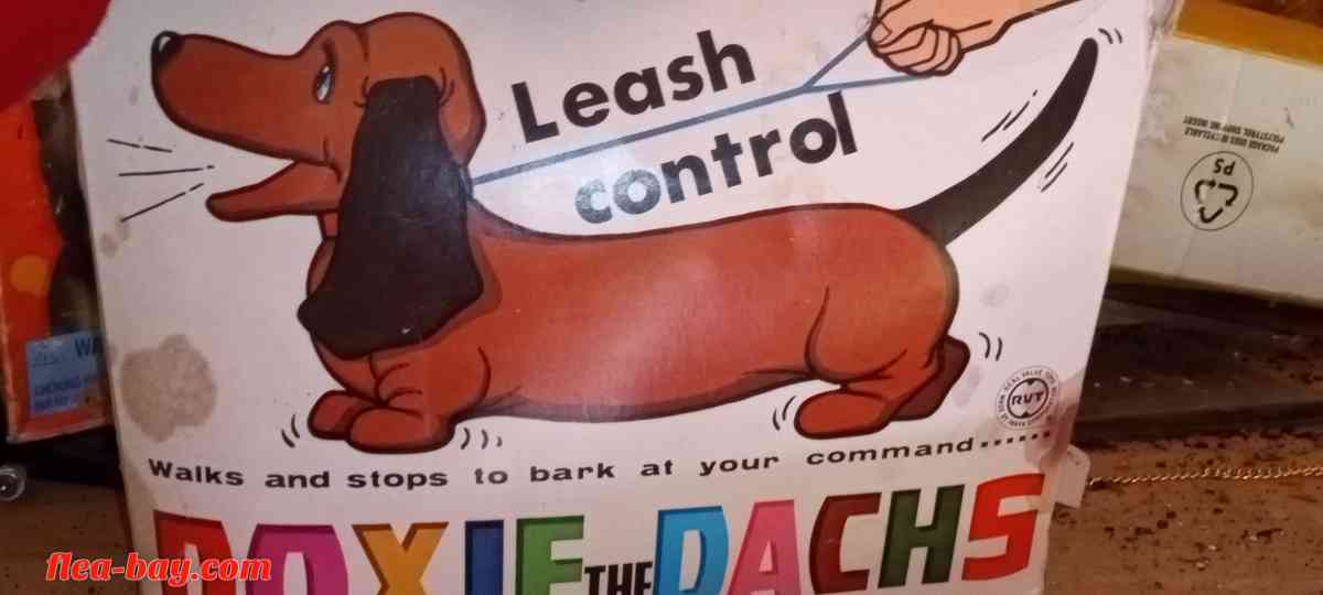 barks walks voice control command comes with batteries unope - Gallipolis, Ohio