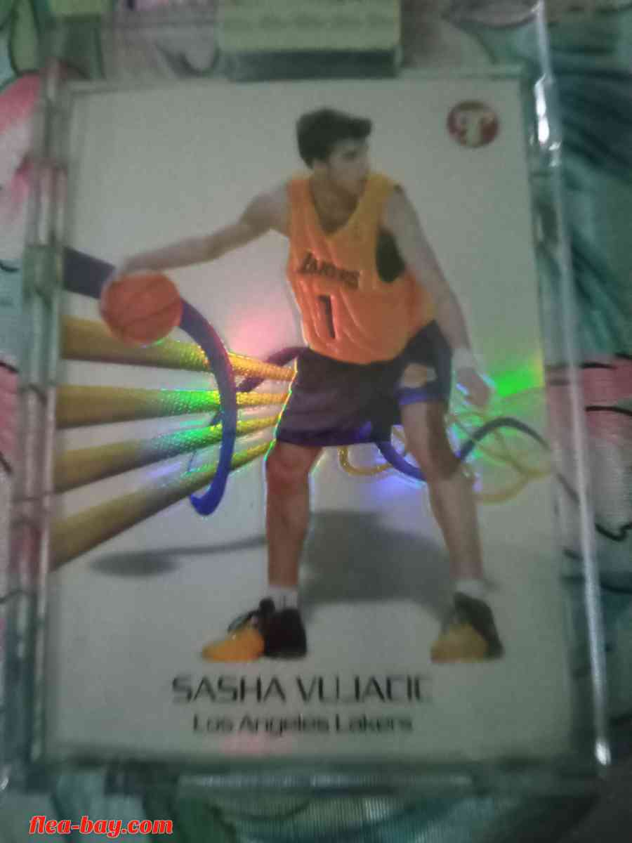 Sasha Vujacic Rookie Trading Card - Rochester, New York