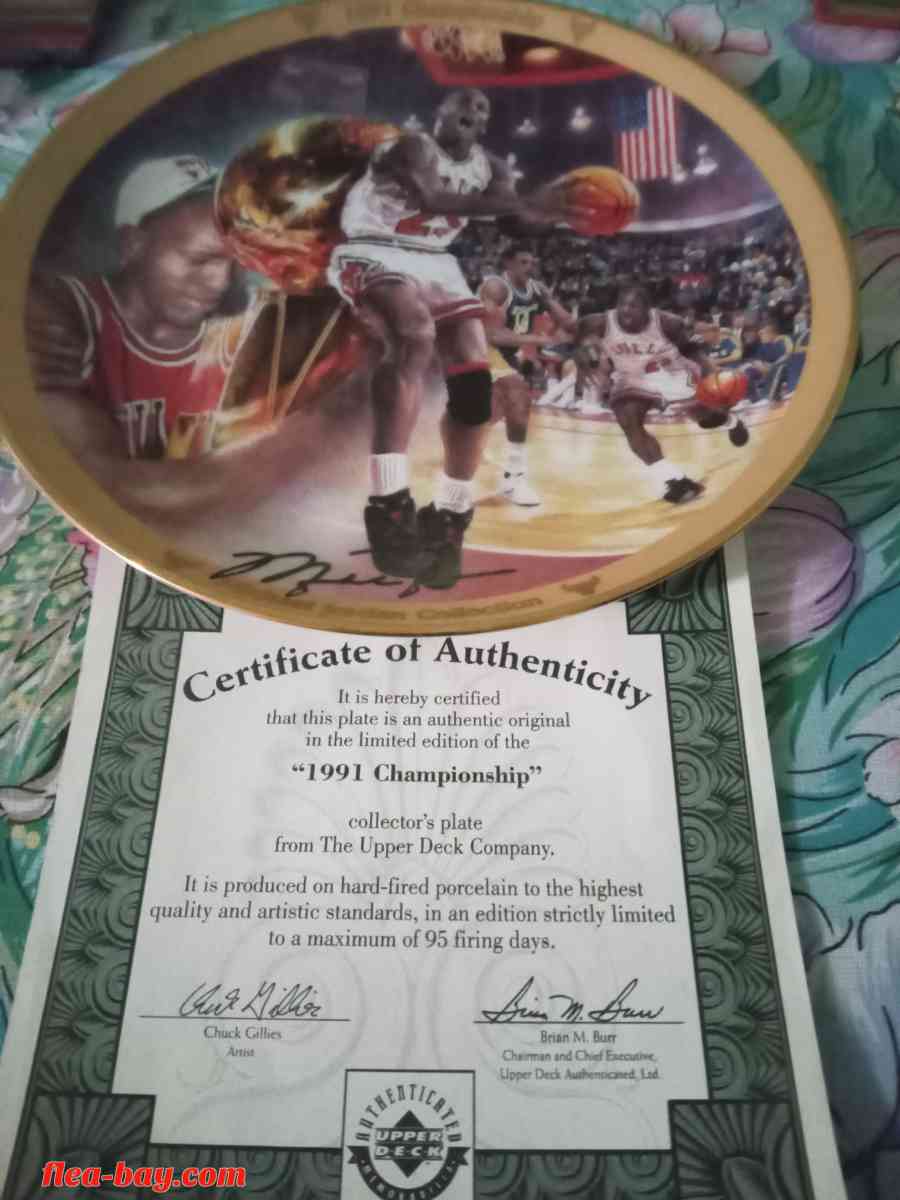 Michael Jordan Collection 1991 Championship Plate With Stand - Rochester, New York
