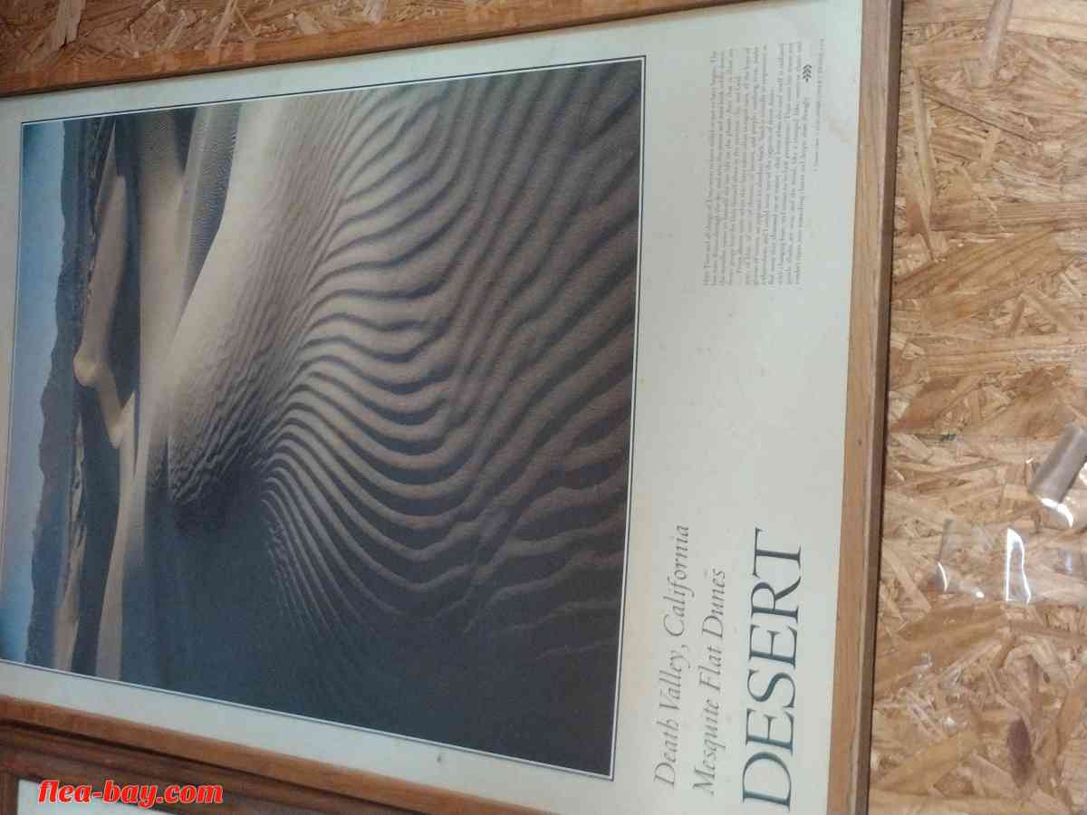 wall decor - Vanderbilt, Texas - FleaMarketBay