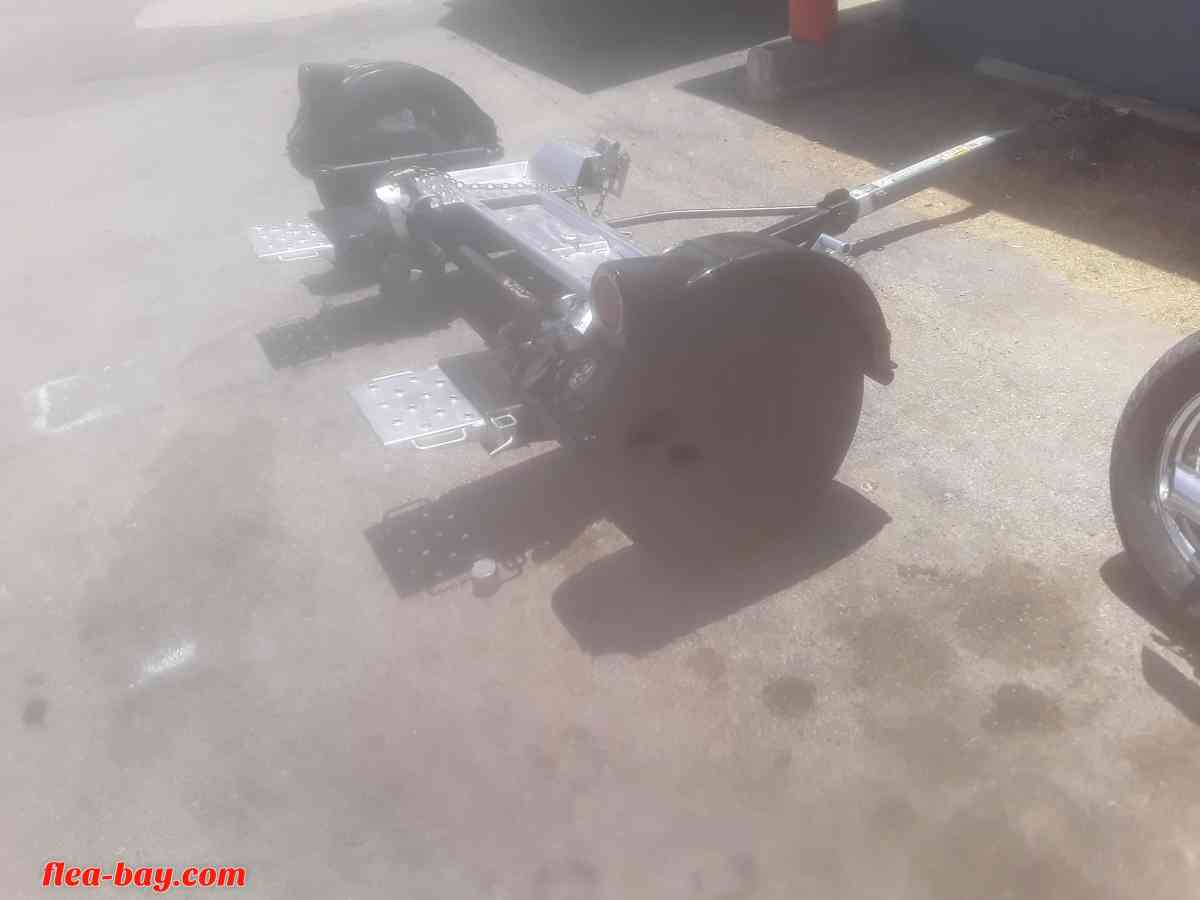 dolly - San Antonio, Texas