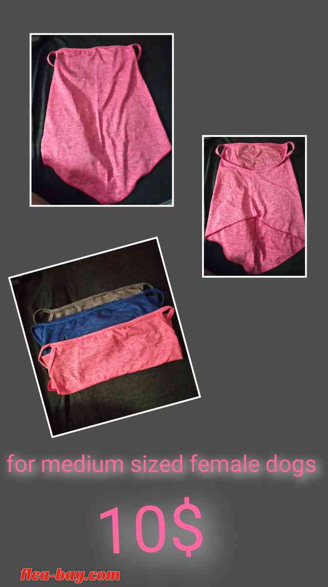 female Dog summer  clothes for a medium sized female dog - Dayton, Ohio