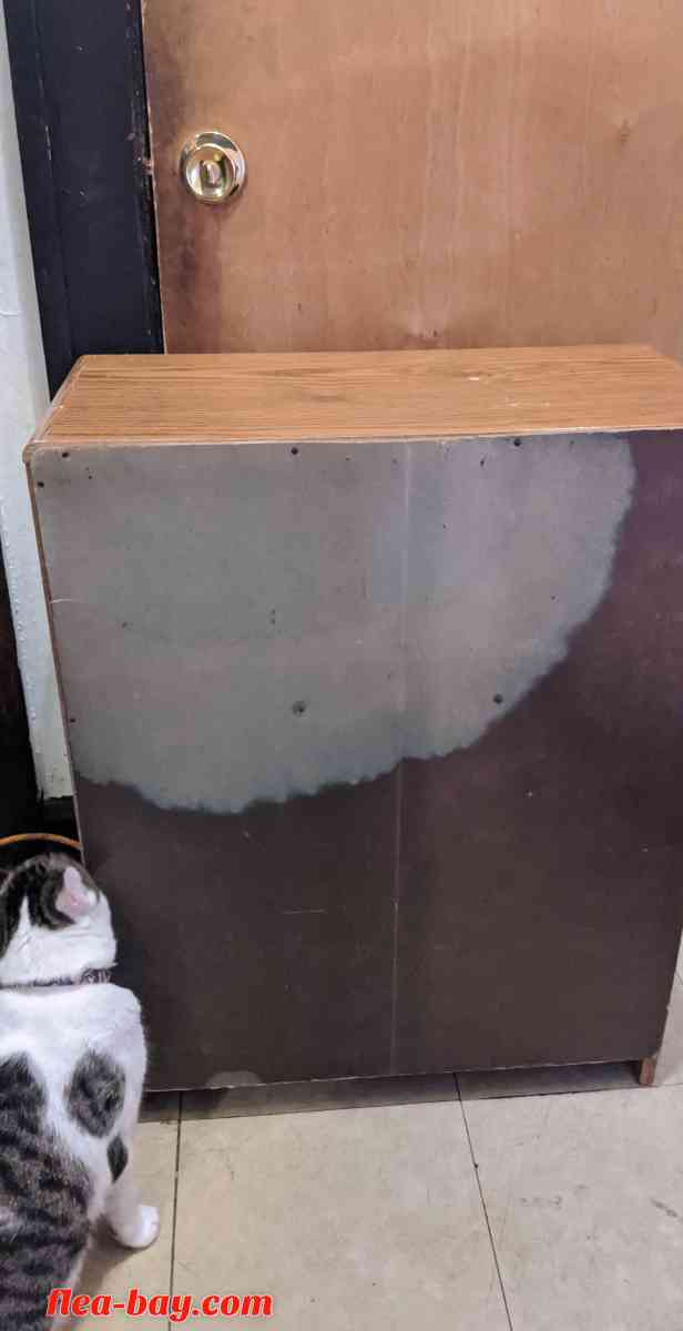 Cabinet - Rockford, Illinois - FleaMarketBay