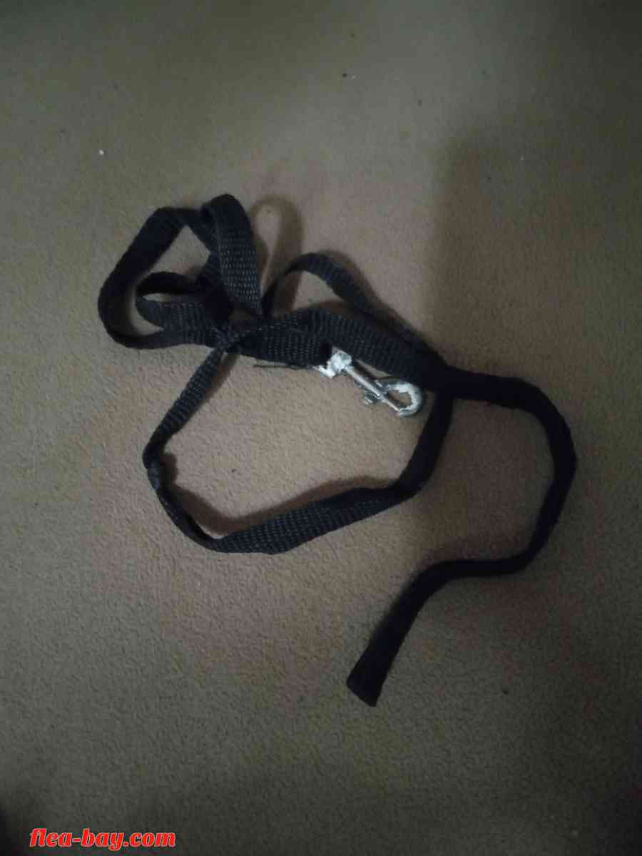 this is a brand new dog leash