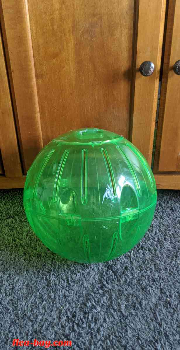 Rodent Exercise ball