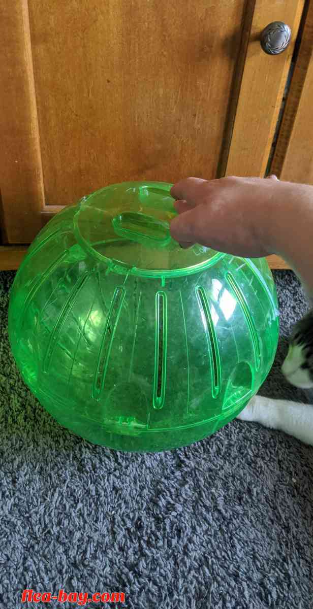 Rodent Exercise ball - Rockford, Illinois - FleaMarketBay