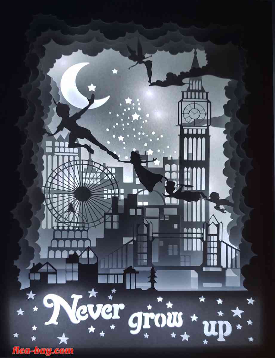 8x10.5 peterpan shadow box - Valdosta, Georgia