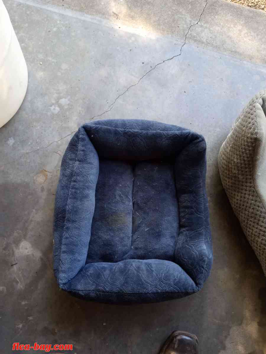dog bed - Fort Smith, Arkansas