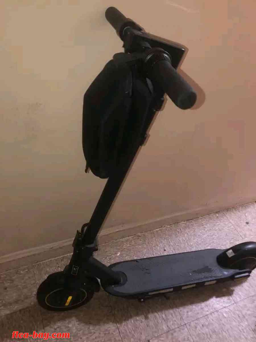 scooter - Abbeville, Georgia