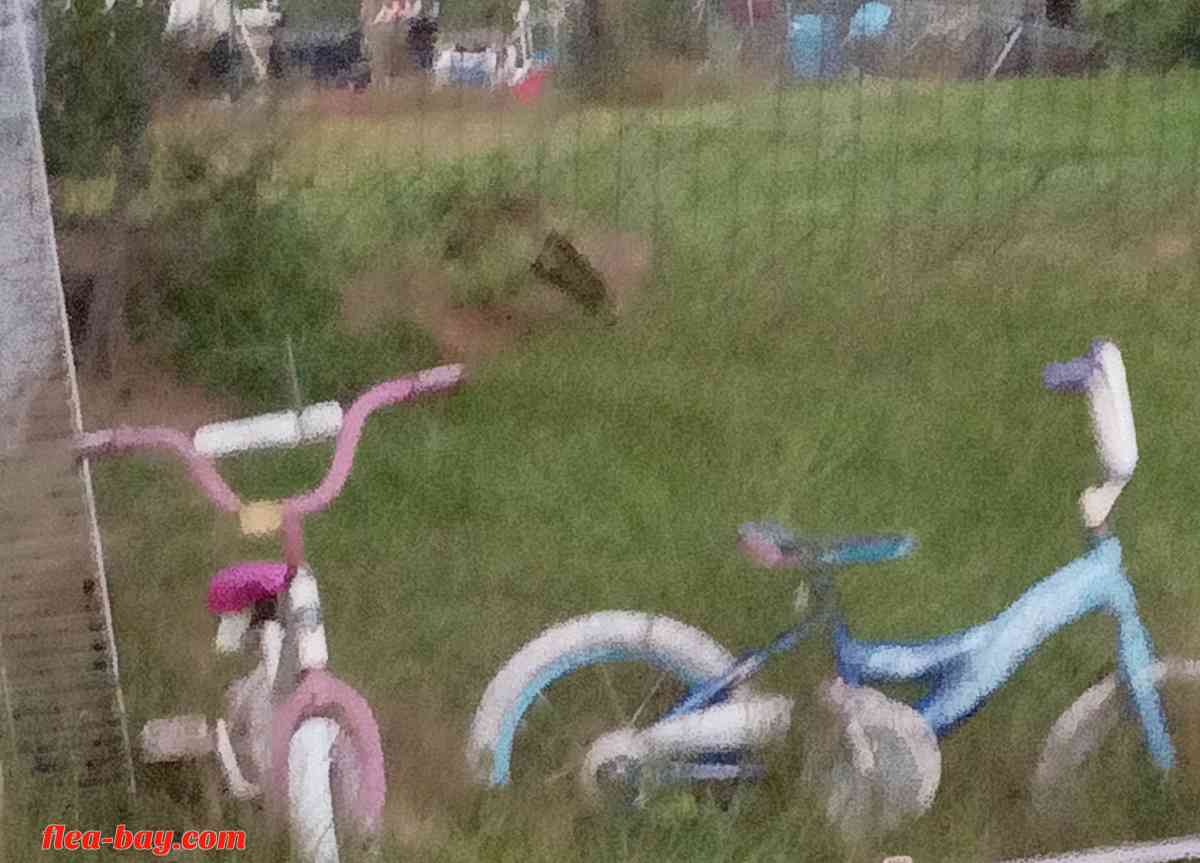 2 kids bicycles and 2 tricycle - Saint Cloud, Florida - FleaMarketBay