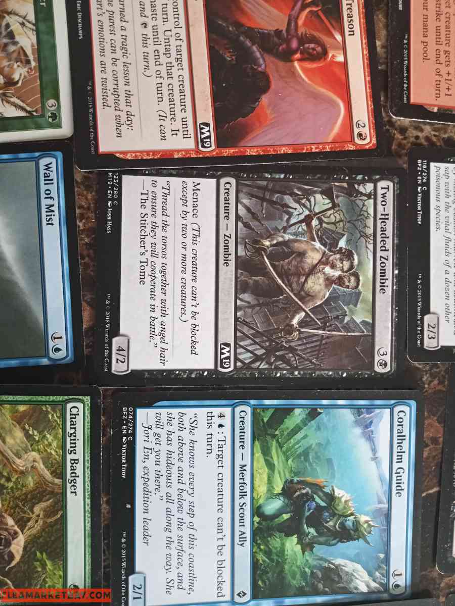 magic the gathering card deck and books - Orlando, Florida - FleaMarketBay