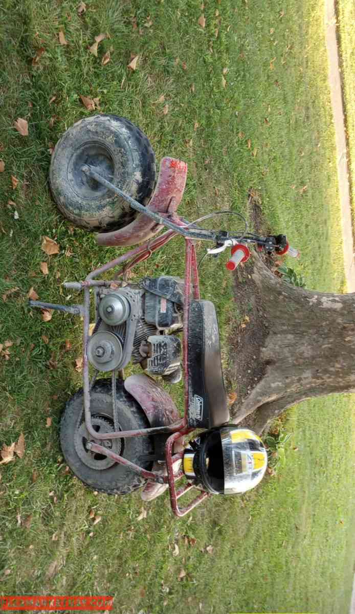 212cc Colman mini bike - Lorain, Ohio - FleaMarketBay