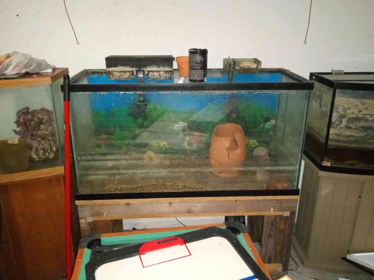 multiple fish tanks - Elkhart, Indiana - FleaMarketBay