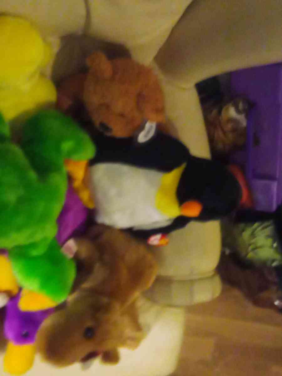 there a lot of beanies baby's here so if you need one contac - Grant, Alabama - FleaMarketBay