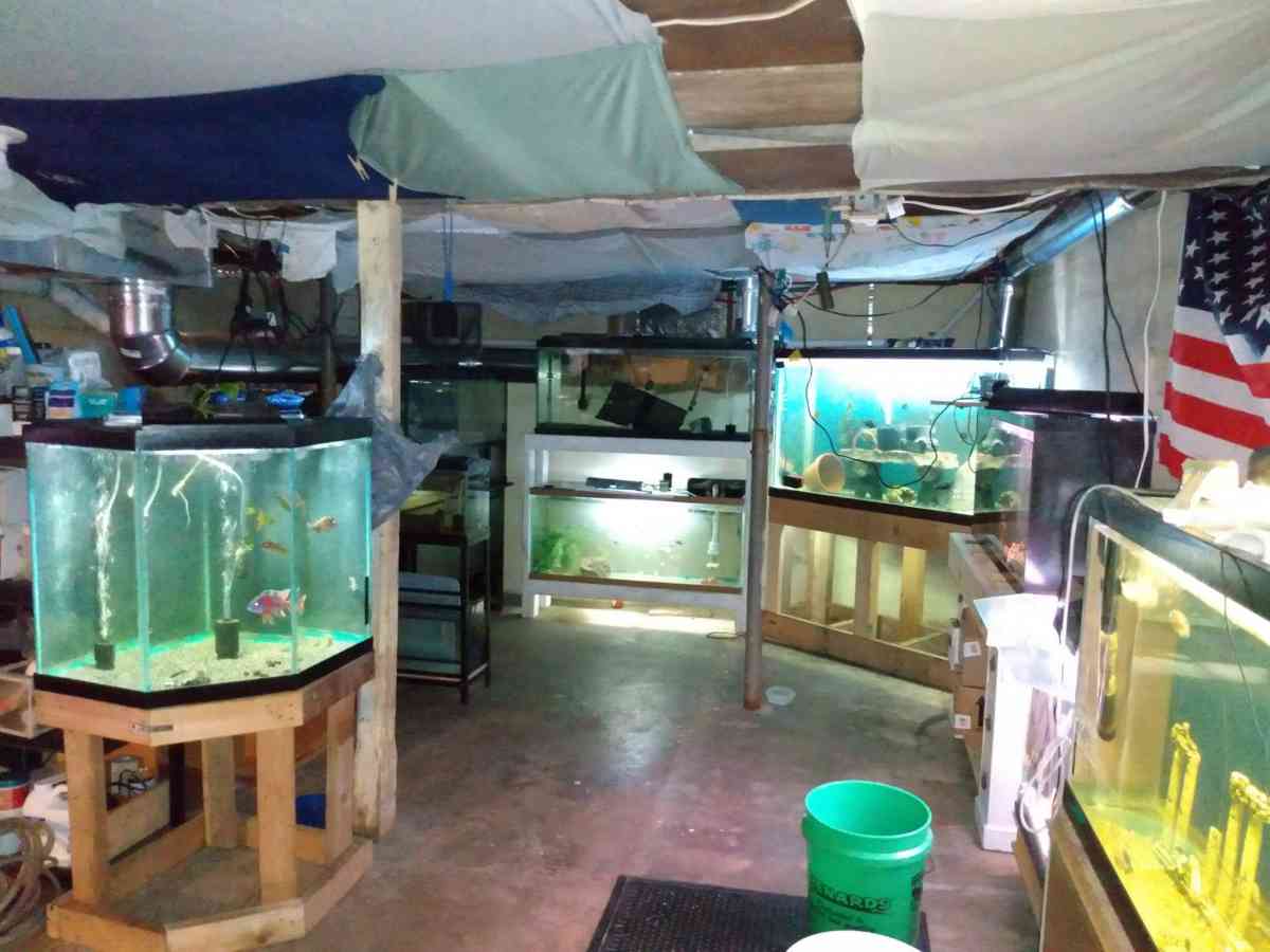 LITTLE CRITTER(S) AND SUPPLIES! - Marengo, Illinois - FleaMarketBay