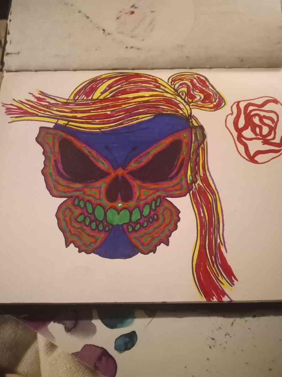 Butterfly skull face - Howard City, Michigan - FleaMarketBay