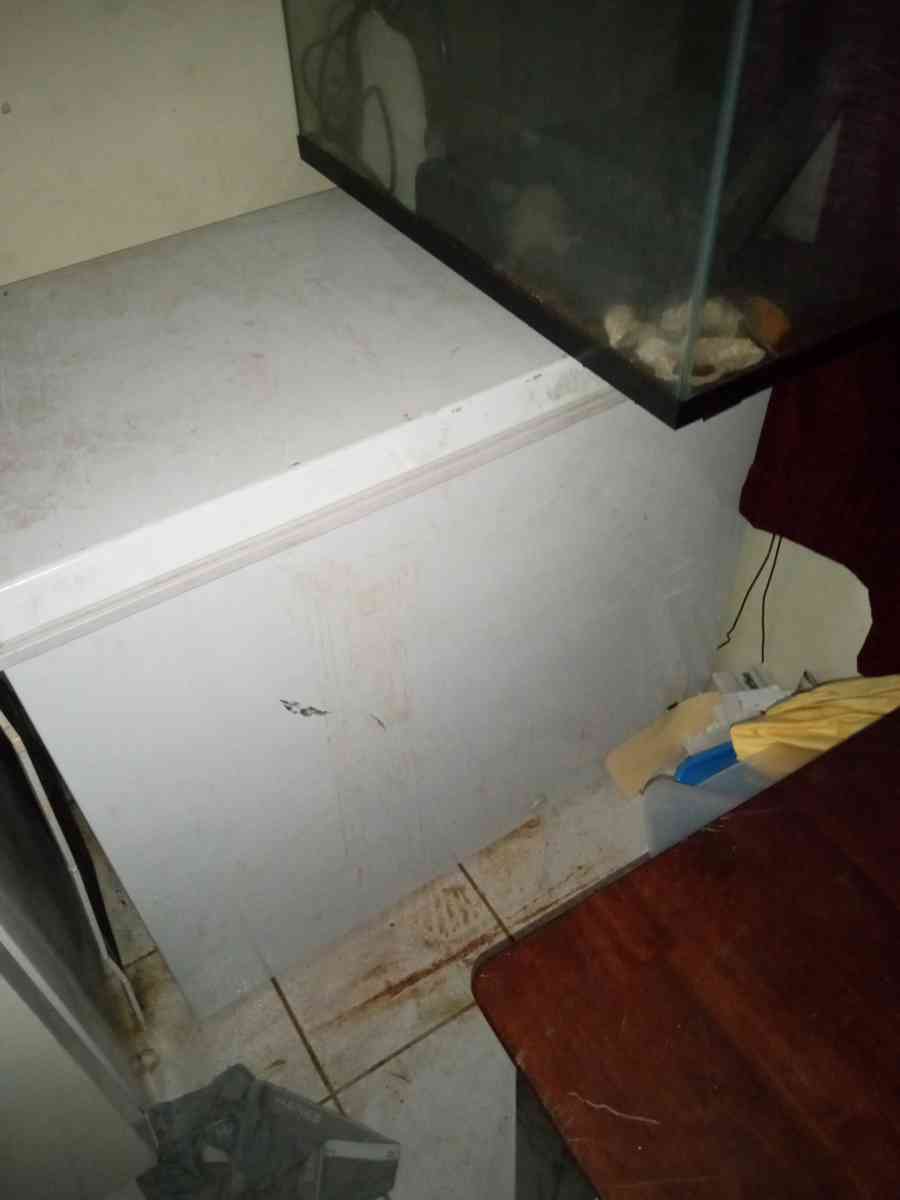 deep freezer chest