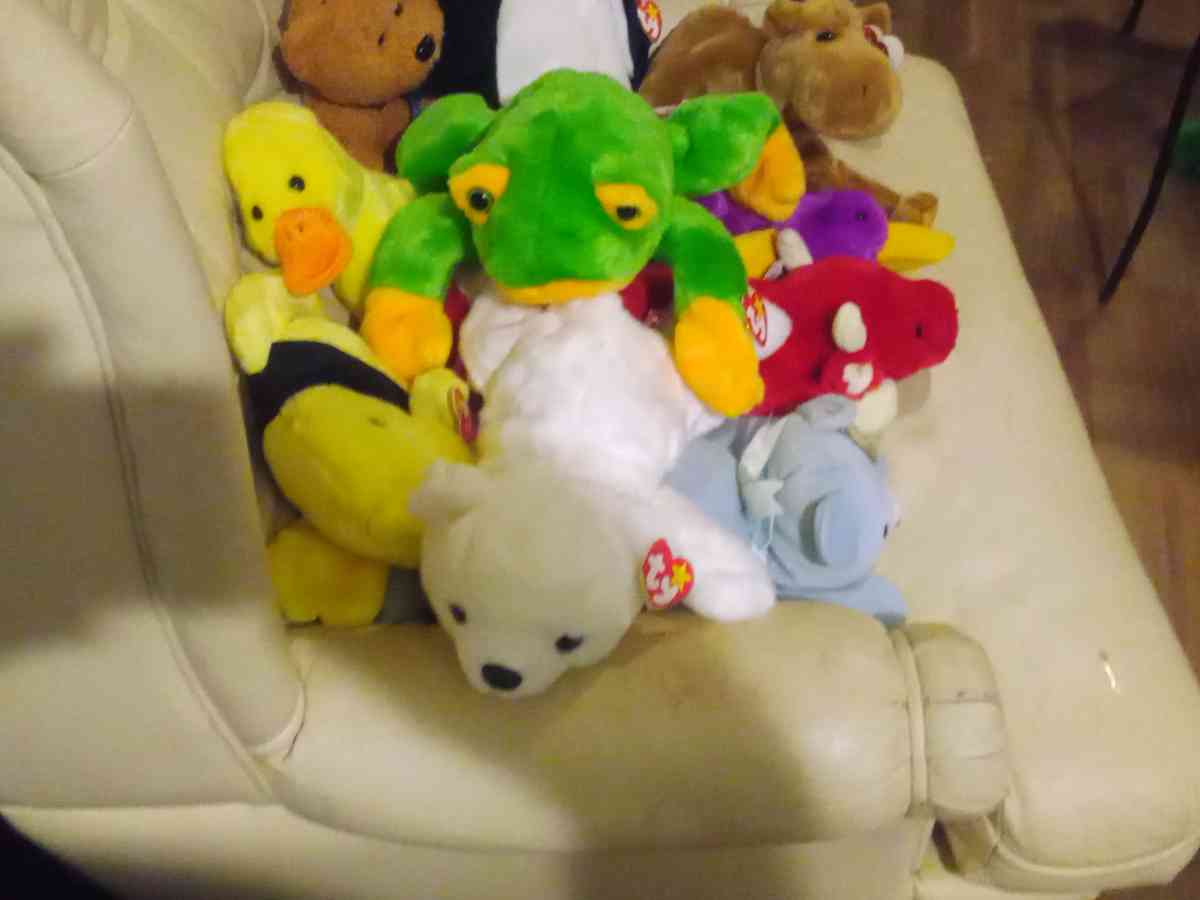 there a lot of beanies baby's here so if you need one contac - Grant, Alabama