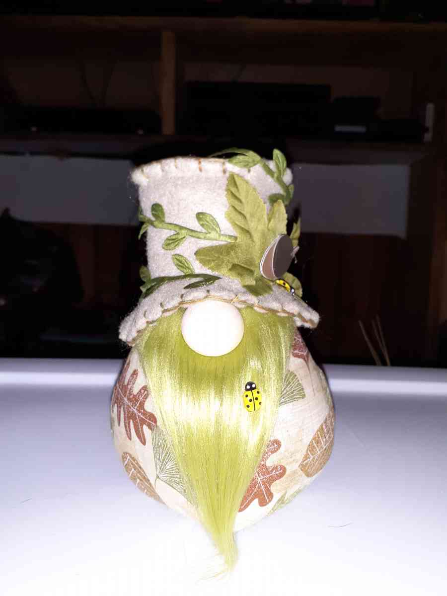 Gnomes - Dover, Tennessee - FleaMarketBay