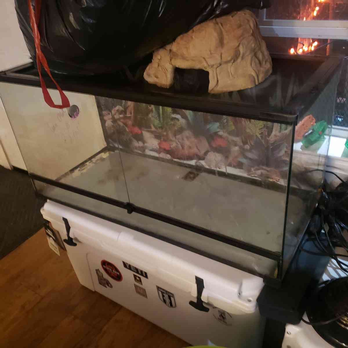 Bearded Dragon (or reptile) Set Up - Greenville, Texas - FleaMarketBay