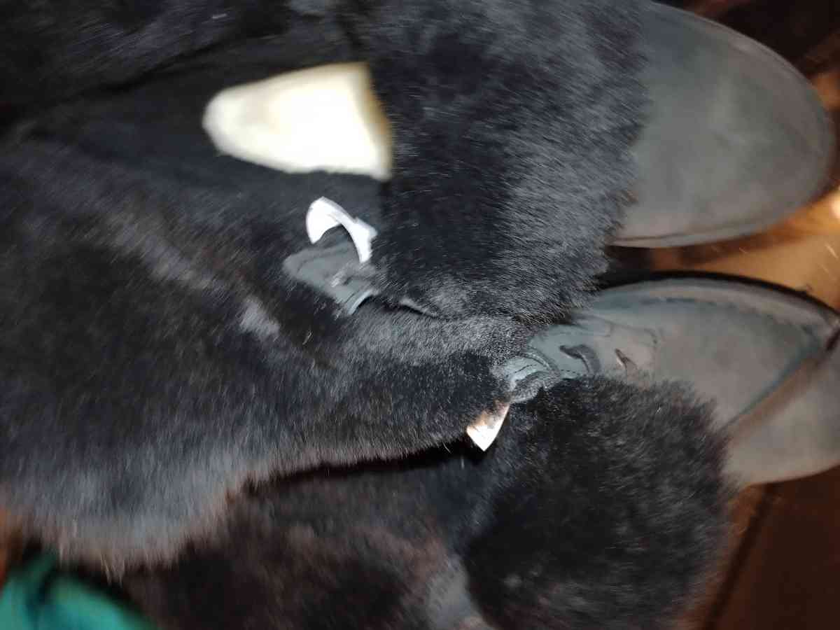 WOMENS UGG BOOTS size 7 - China Grove, North Carolina - FleaMarketBay