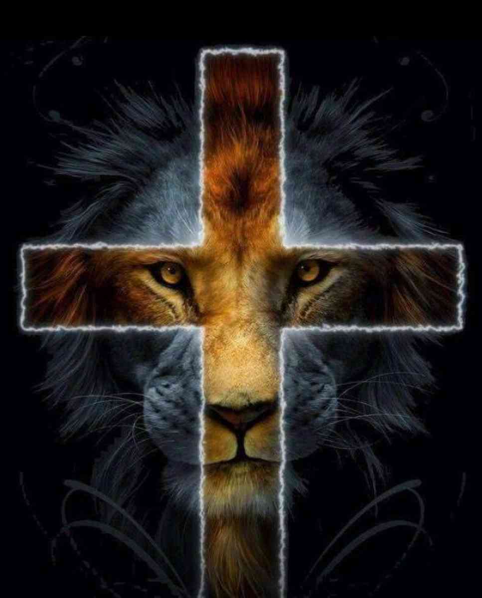 clothes - Texas City, Texas