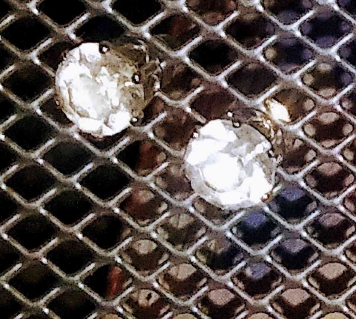 Assortment of Fashion Earrings - Alicia, Arkansas - FleaMarketBay