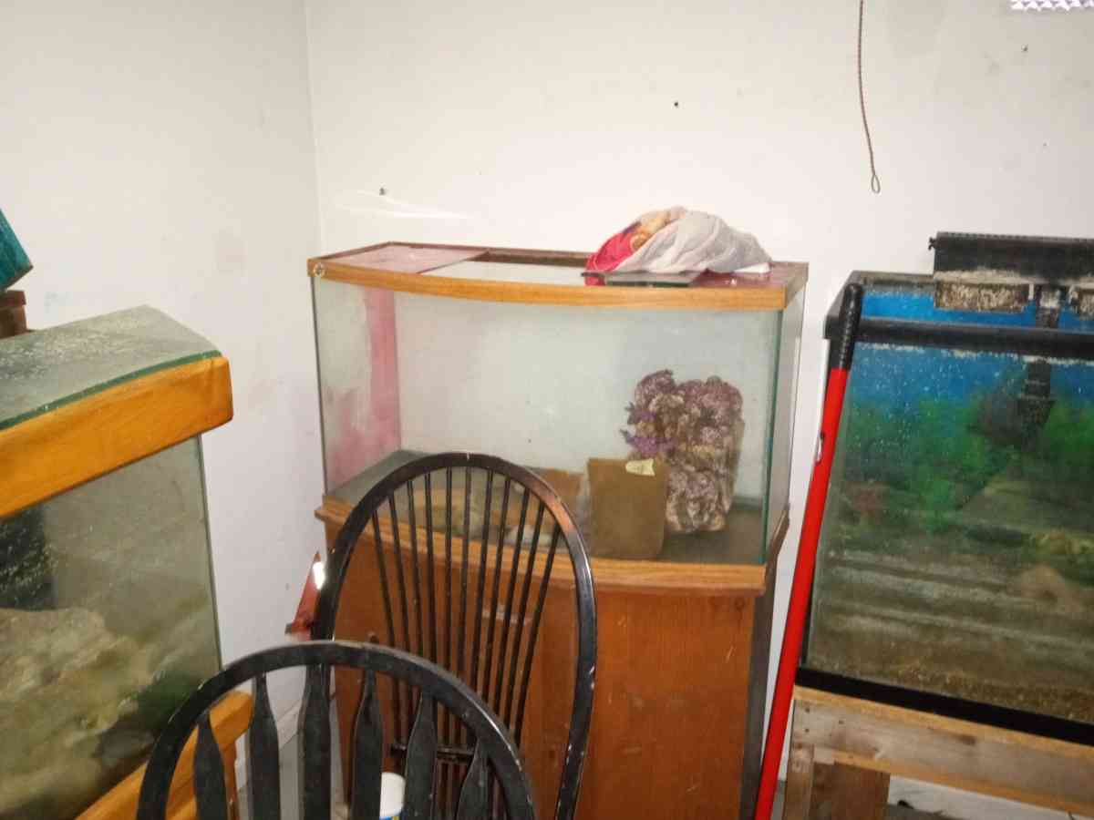 multiple fish tanks - Elkhart, Indiana - FleaMarketBay