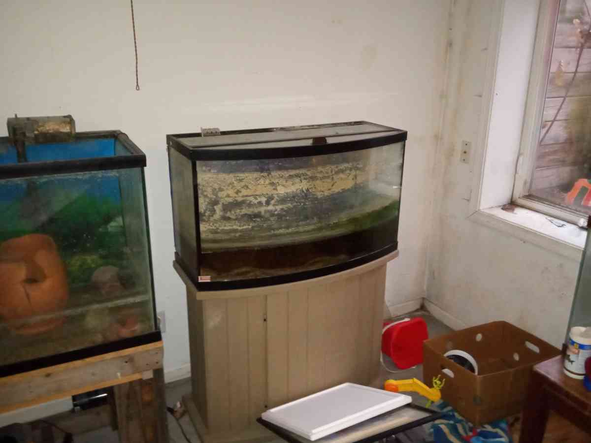 multiple fish tanks - Elkhart, Indiana - FleaMarketBay