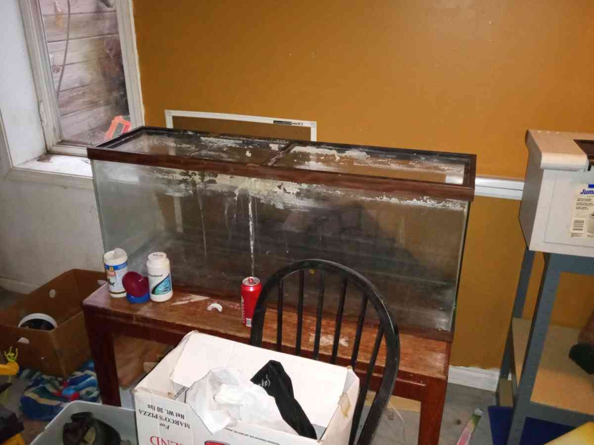 multiple fish tanks - Elkhart, Indiana