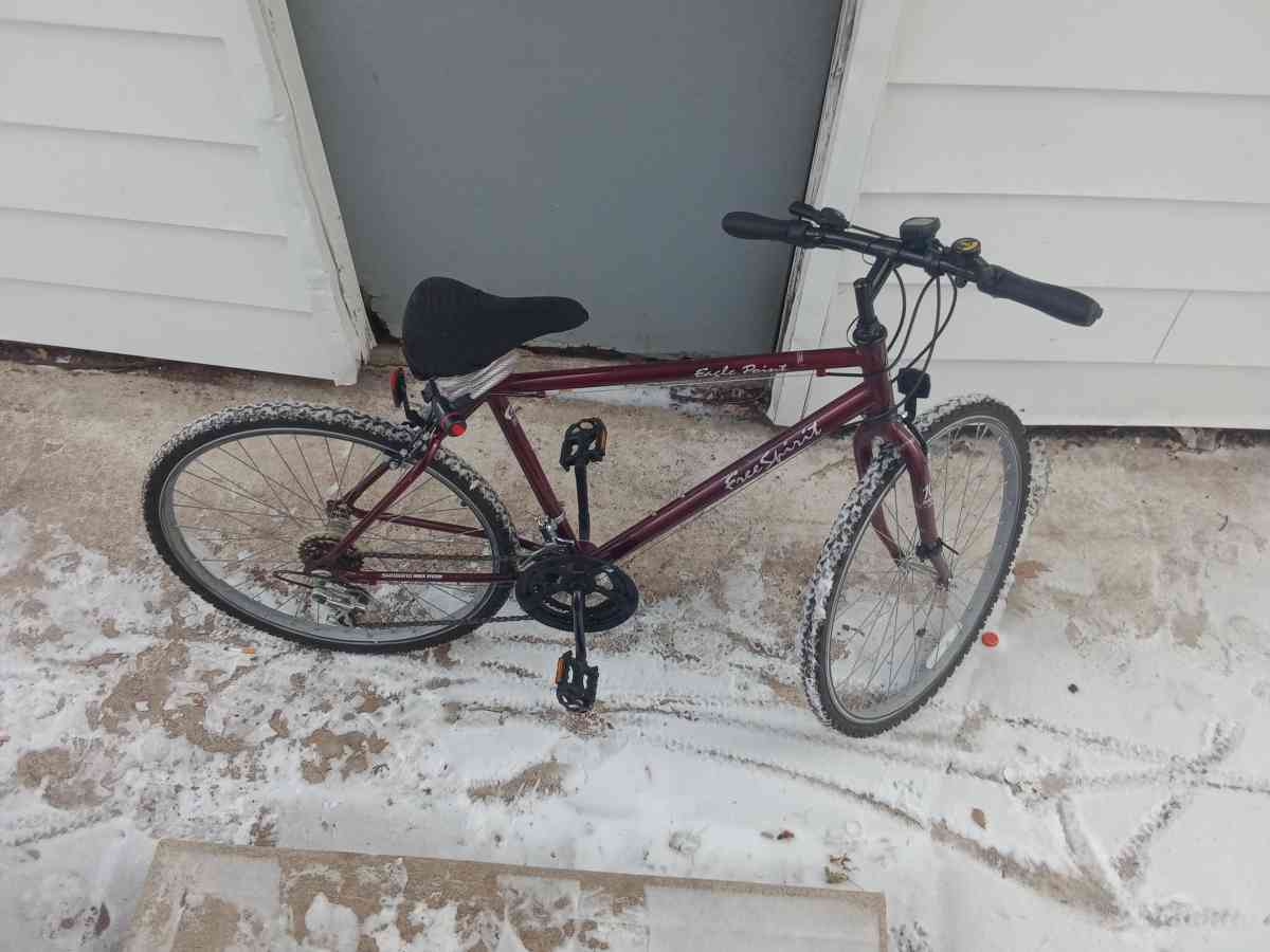 brand new free spirit eagle point 10 speed mountain bike