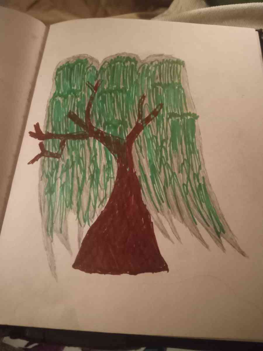 Willow tree - Howard City, Michigan