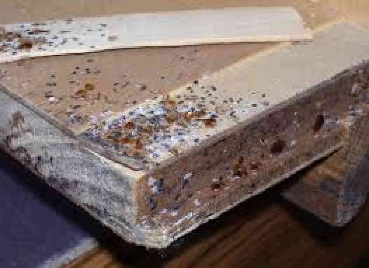 pest and termite control - Riverside, California - FleaMarketBay