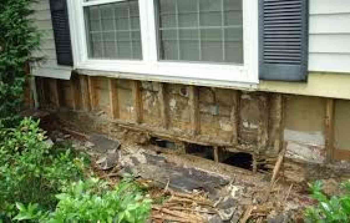 pest n termite control - San Bernardino, California - FleaMarketBay