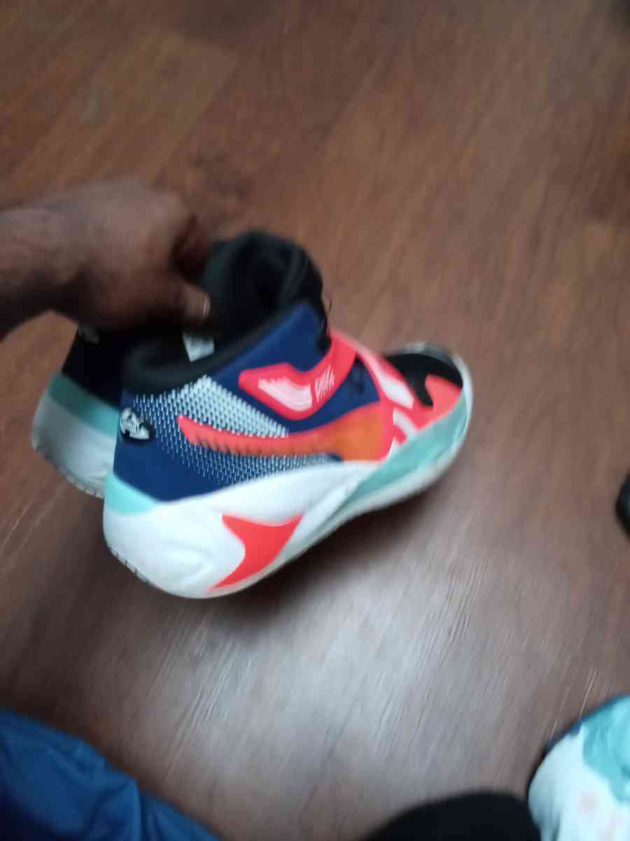 puma basketball shoes size 13 - Wickliffe, Ohio