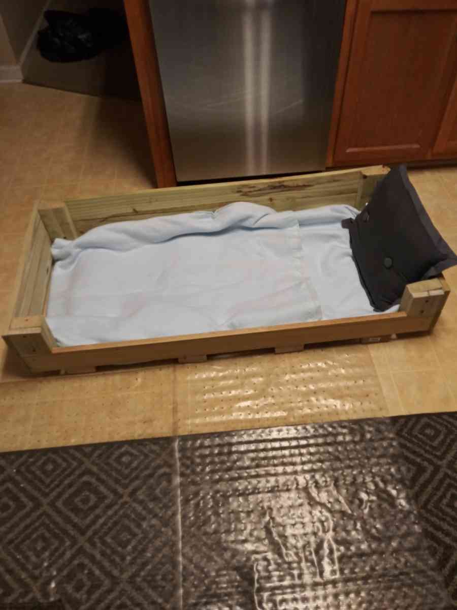 dog bed - Greenville, South Carolina