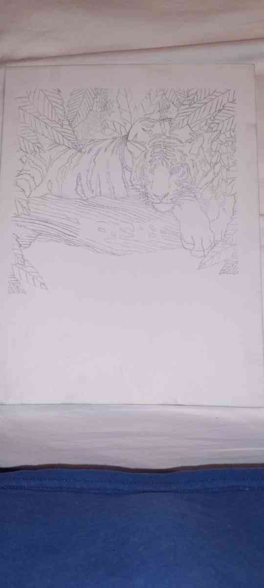 a drawing I did tiger chilling in the forest - Elm Grove, Louisiana