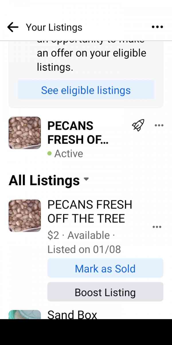 pecans - Shreveport, Louisiana - FleaMarketBay