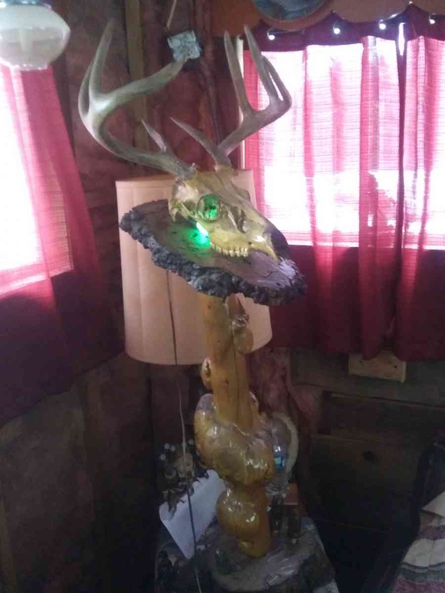 8 Piont European swamp buck - Mio, Michigan - FleaMarketBay