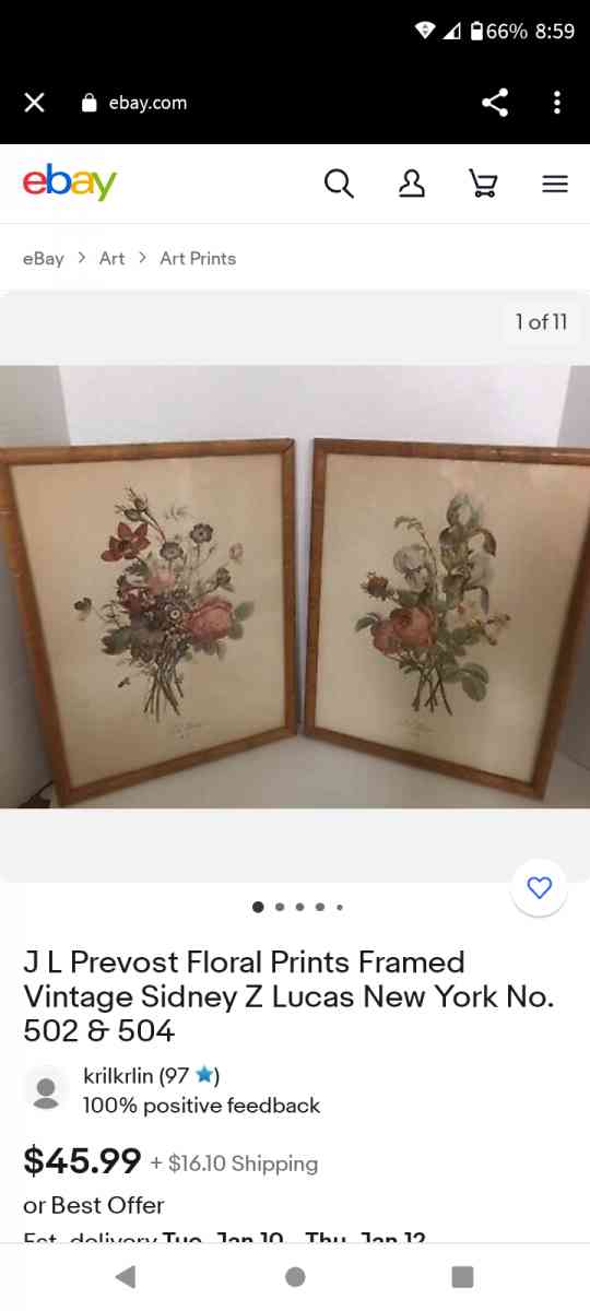 Vintage Floral Prints set of 2 - Mobile, Alabama - FleaMarketBay