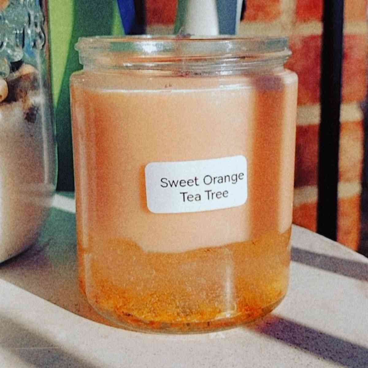 Sweet Orange Tea Tree Scented Candle - Staunton, Virginia