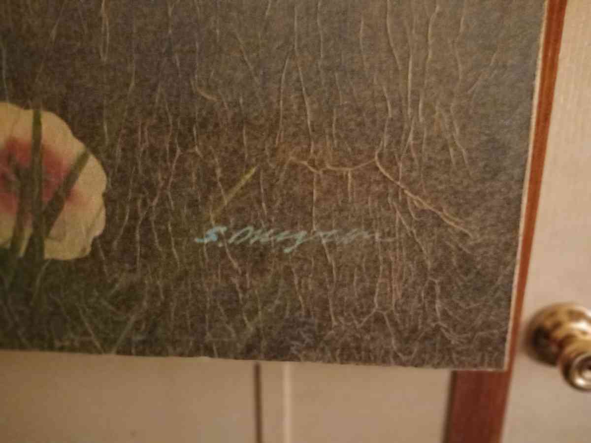 pink flowers by the Pond - Fountain Inn, South Carolina - FleaMarketBay