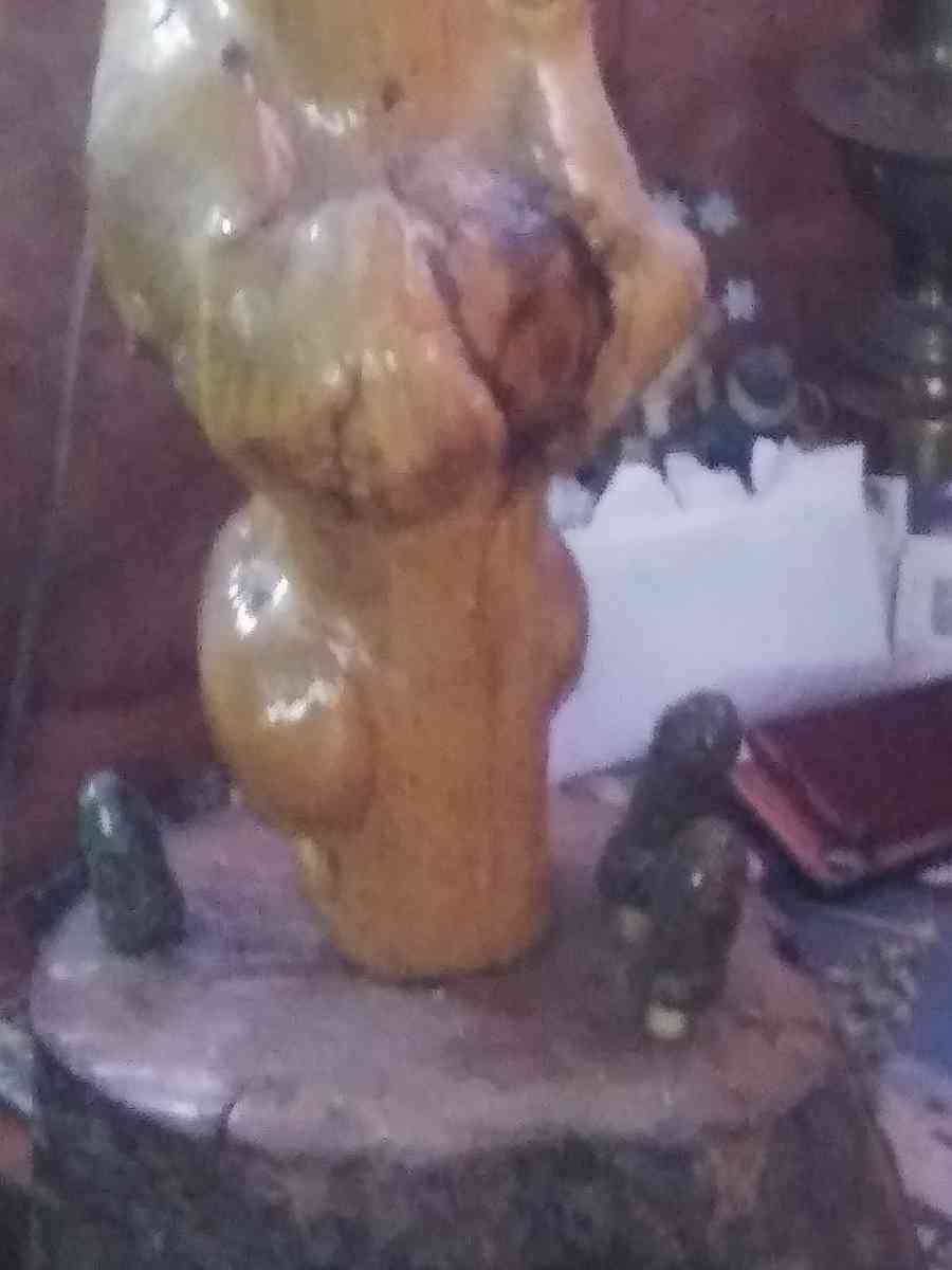 8 Piont European swamp buck - Mio, Michigan - FleaMarketBay