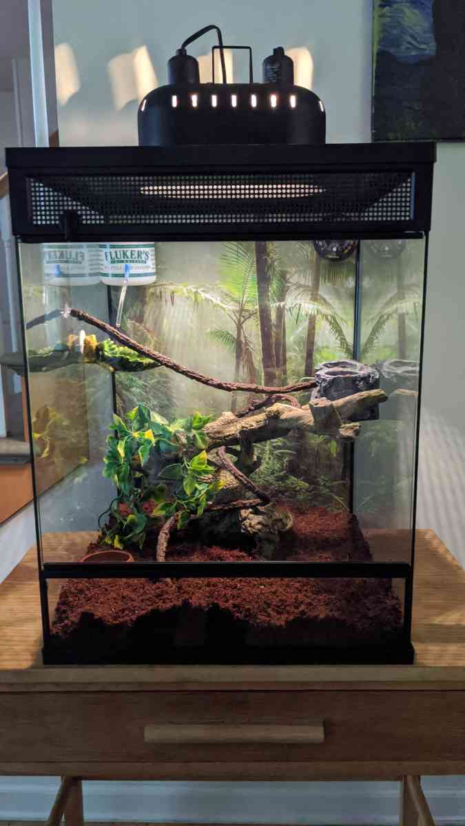 Vertical Reptile Terrarium - Warrenton, Virginia - FleaMarketBay